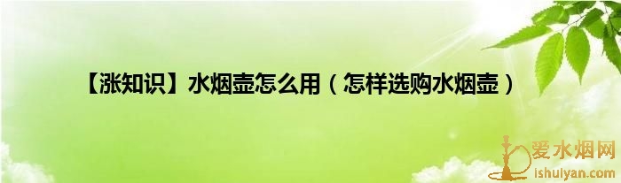 【涨知识】水烟壶怎么用(怎样选购水烟壶) 【涨知识】水烟壶怎么用(怎样选购水烟壶)